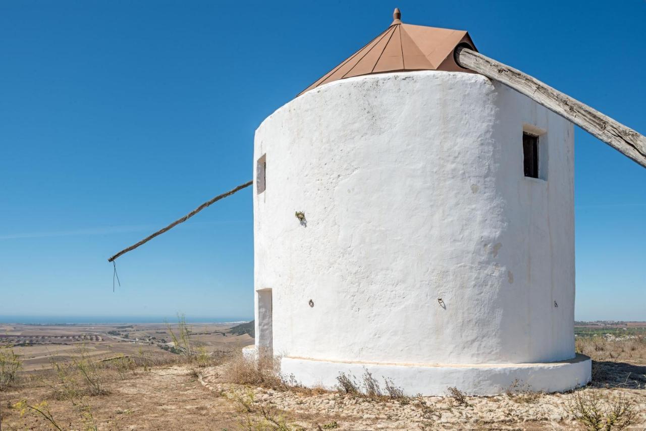 Naranjos En Vejer