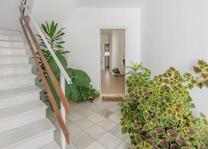 Apartamento Los Naranjos En Vejer